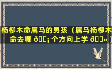 杨柳木命属马的男孩（属马杨柳木命去哪 🐡 个方向上学 🌻 ）